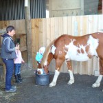Feeding time