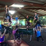 11157366_914946365194912_7289461960352816918_o