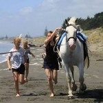 165951_677200838969467_441945446_n